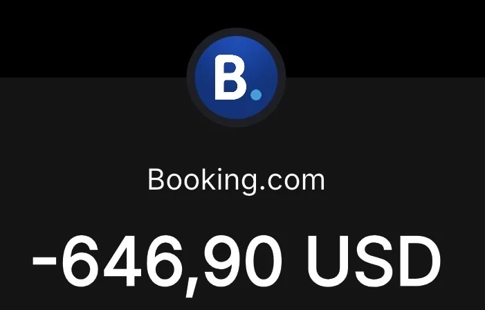 Оплата отелей Booking, Airbnb, Agoba, Trip, бронь - миниатюра 13