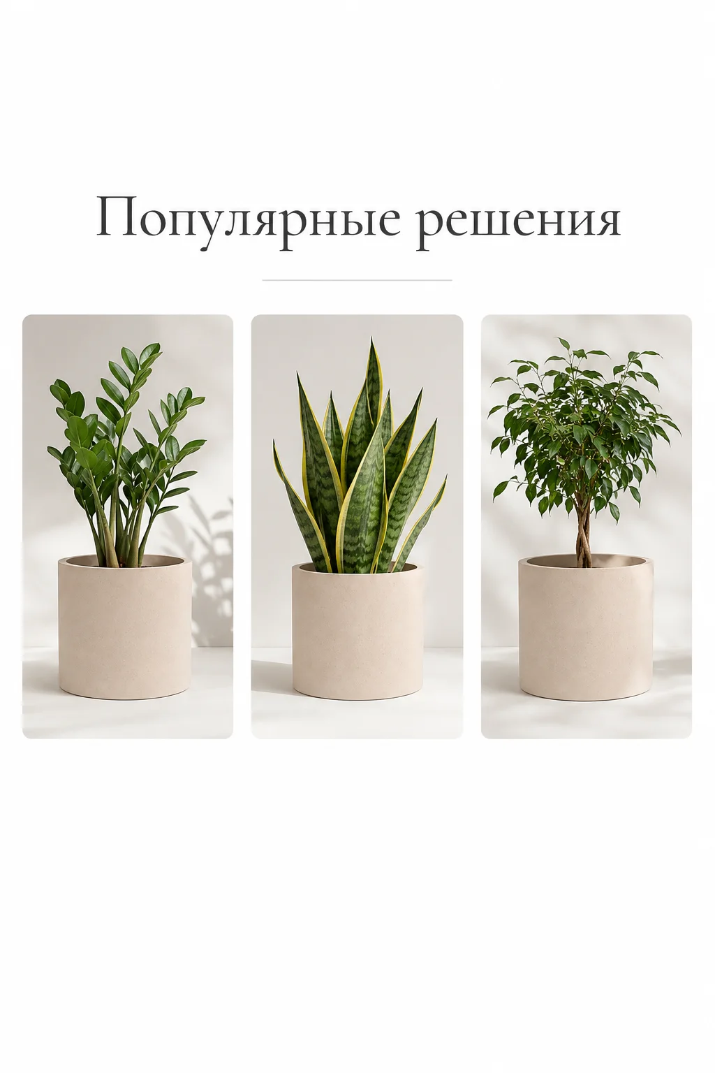Кашпо из бетона - миниатюра 4