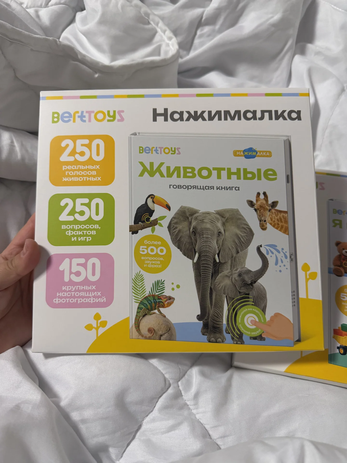книга bert toys - миниатюра 2