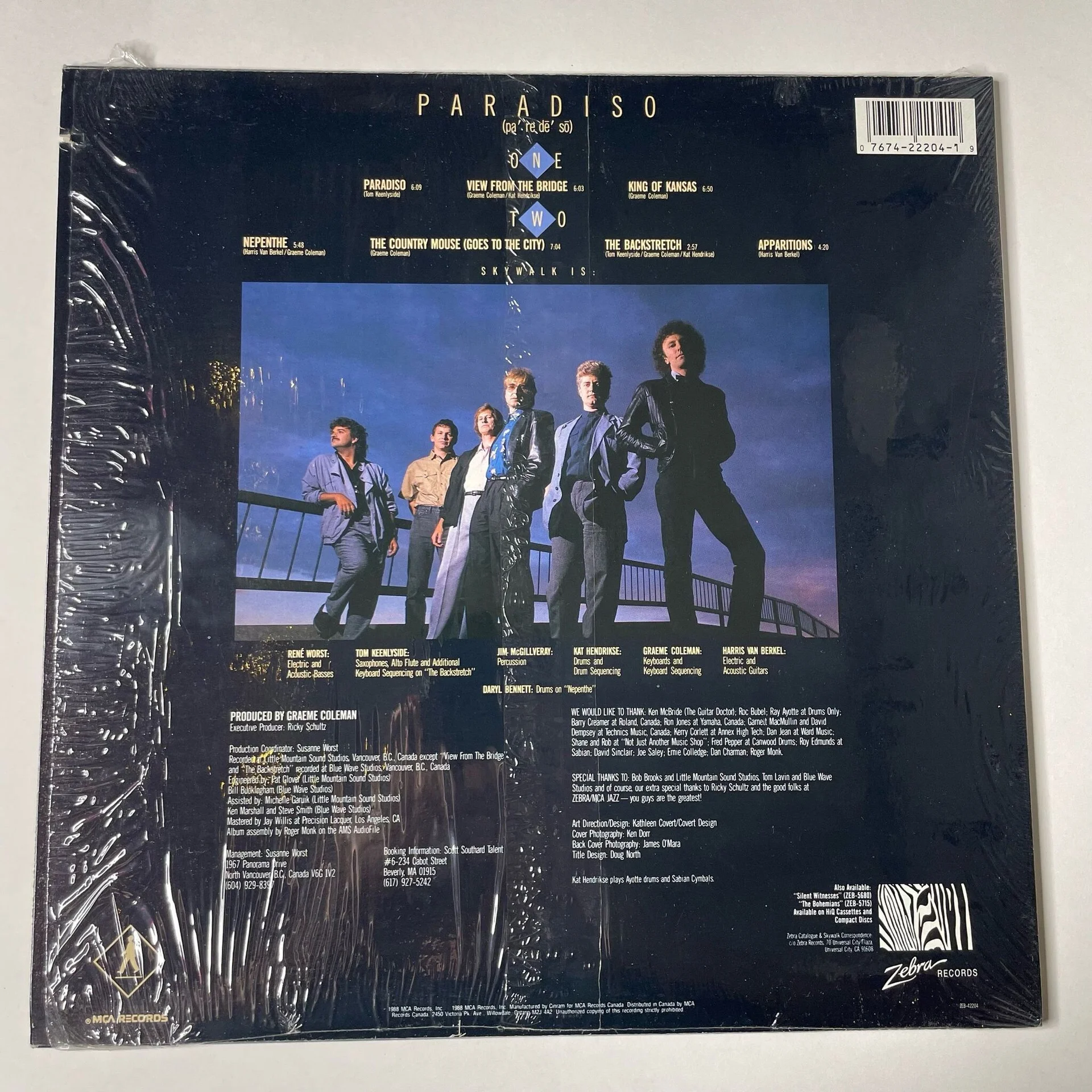 Винтажная виниловая пластинка LP Skywalk Paradiso (Canada 1988) - миниатюра 2