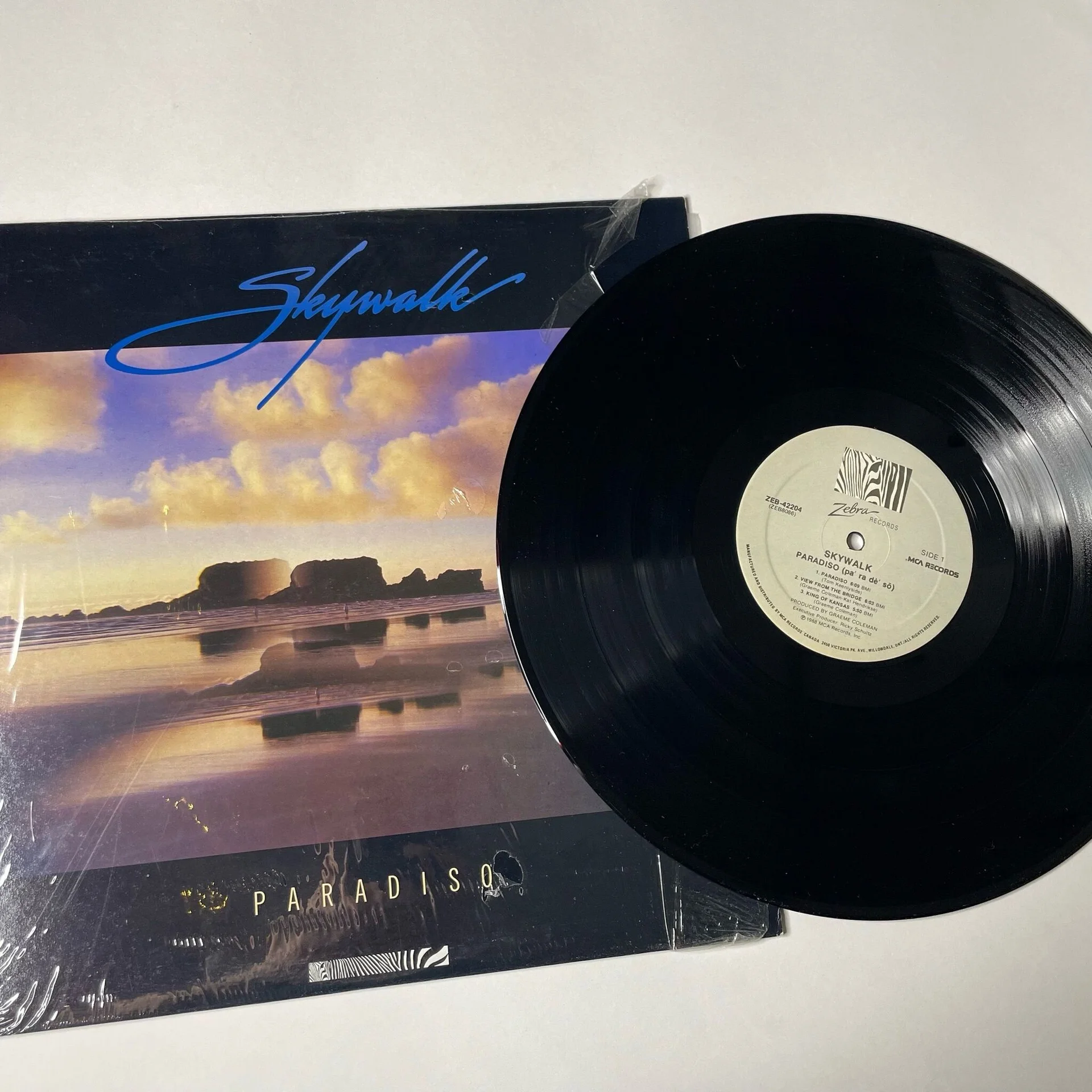 Винтажная виниловая пластинка LP Skywalk Paradiso (Canada 1988) - миниатюра 3