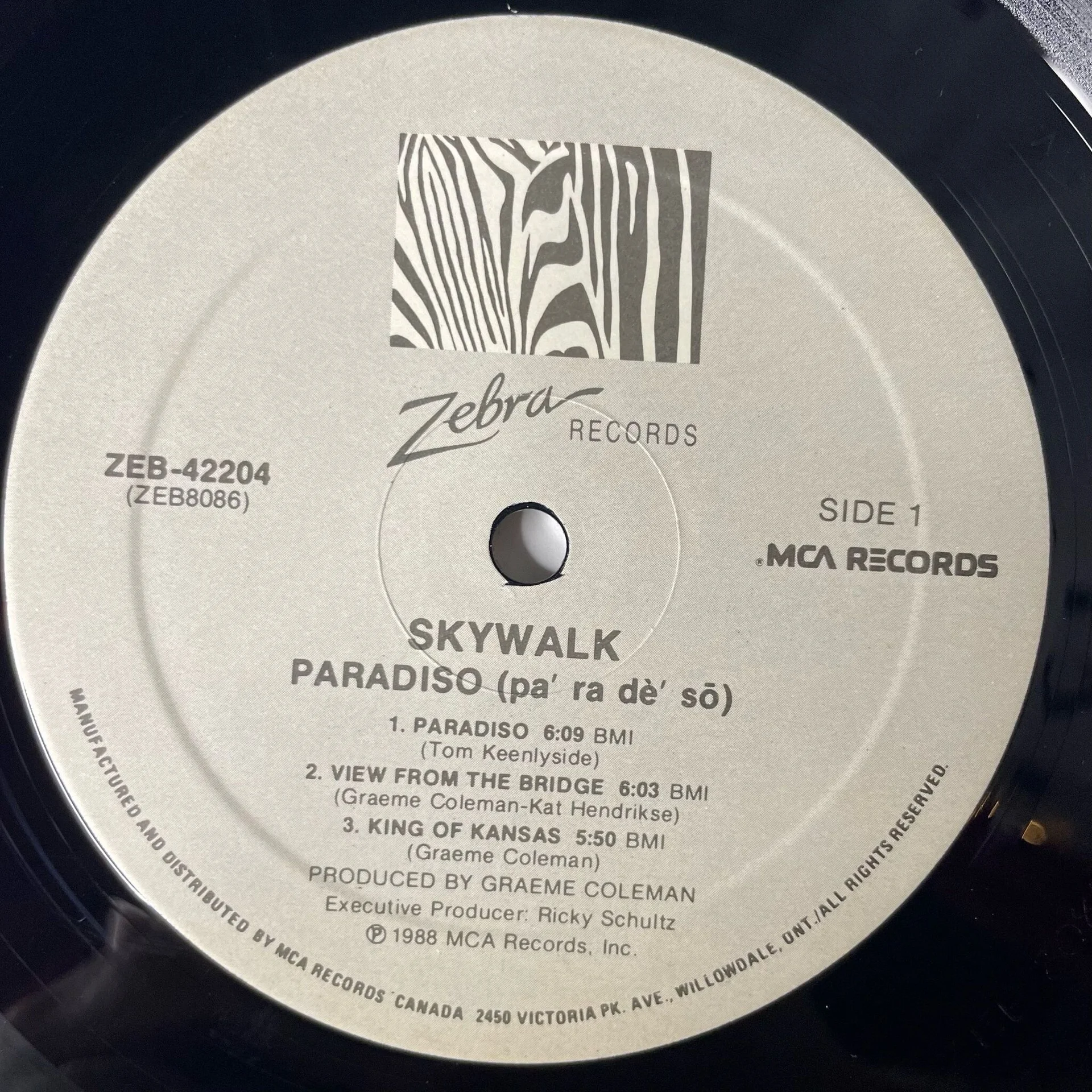 Винтажная виниловая пластинка LP Skywalk Paradiso (Canada 1988) - миниатюра 4