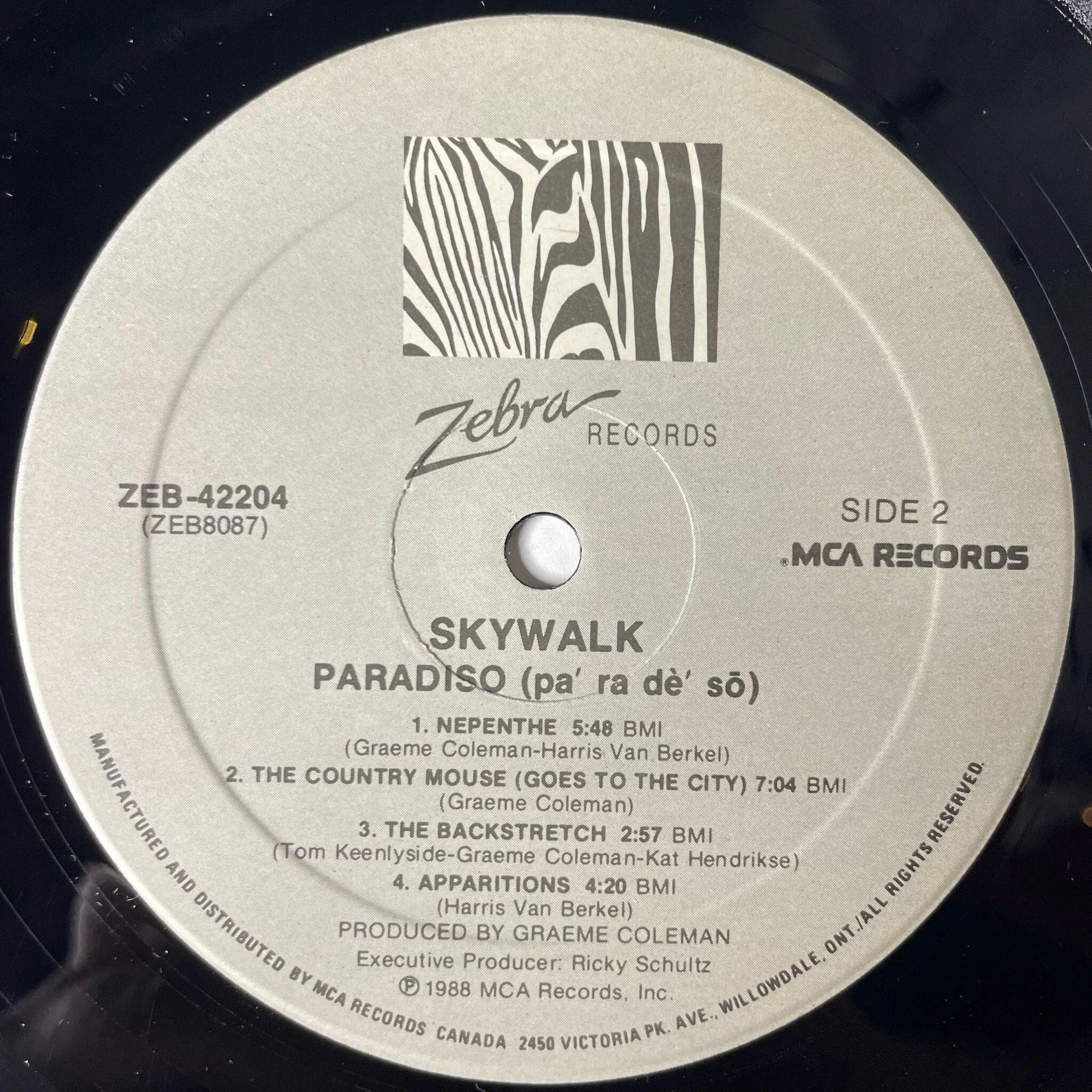 Винтажная виниловая пластинка LP Skywalk Paradiso (Canada 1988) - миниатюра 5