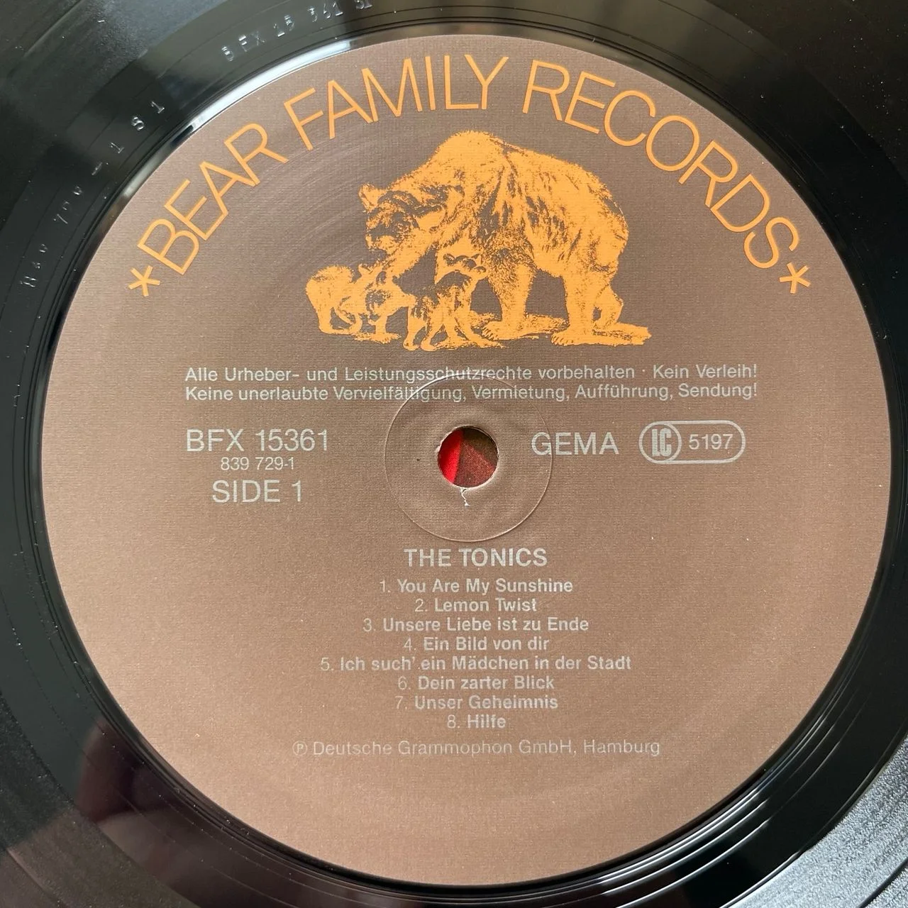 Винтажная виниловая пластинка LP The Tonics (Германия 1989) - миниатюра 4