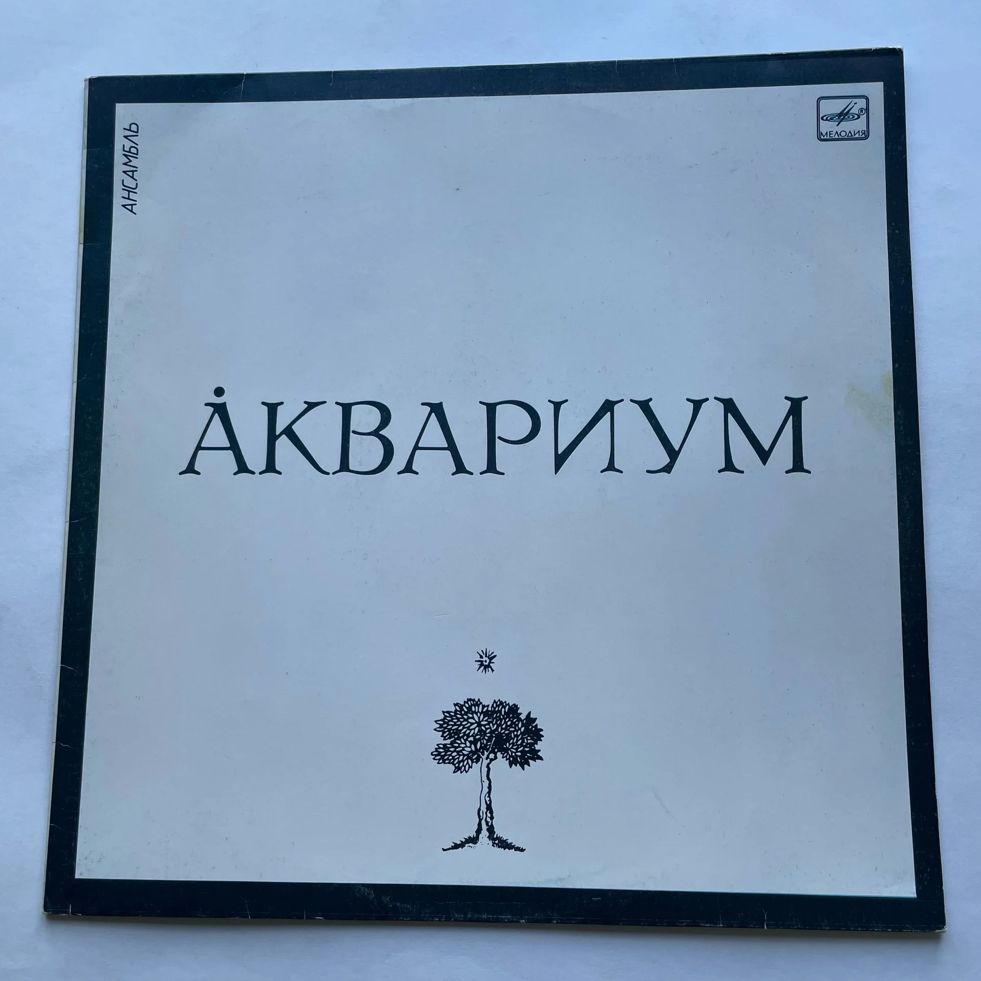 Винтажная виниловая пластинка LP квариум Сны О Чем То Большем (СССР 1987)