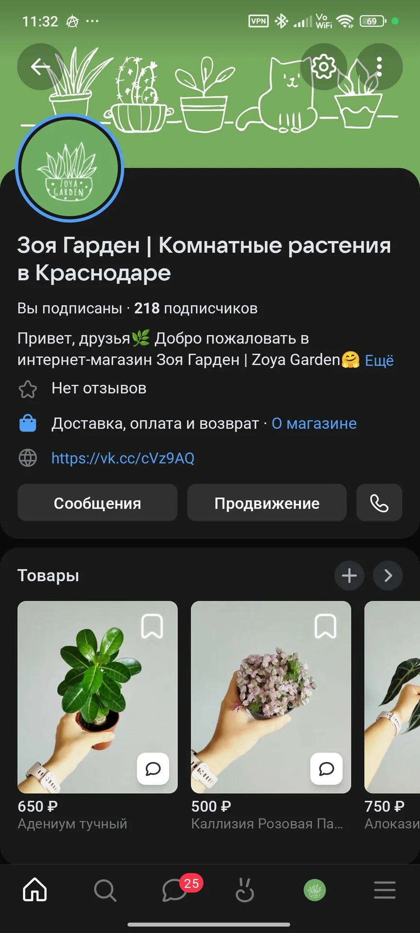 Фикус Эластика Руби - миниатюра 4
