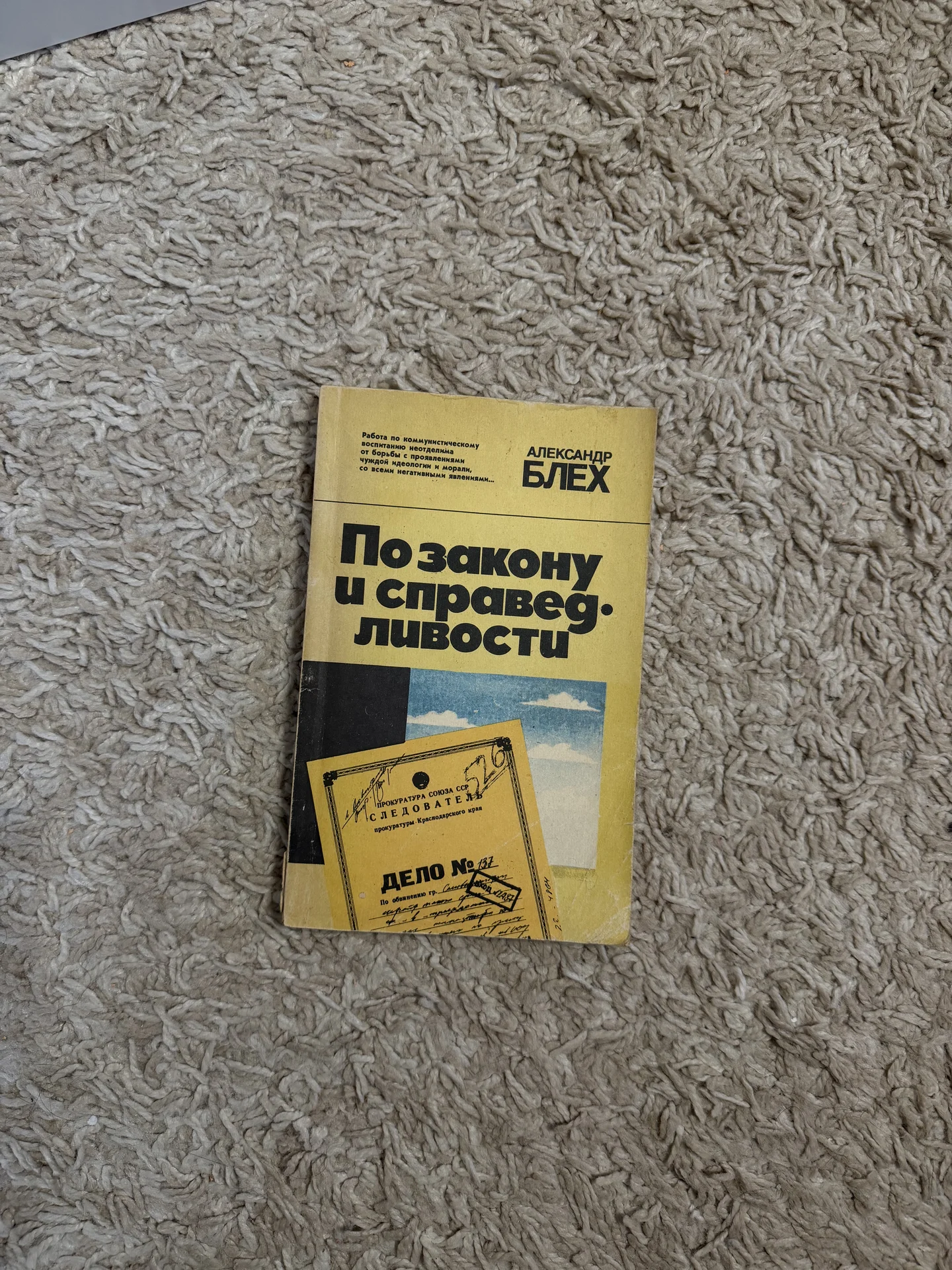 Книга «По закону и справедливости» Александр Блех - изображение 1