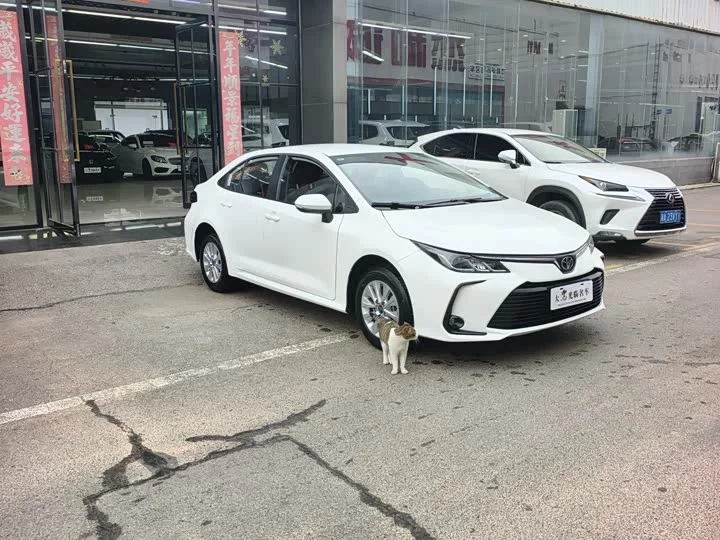 Toyota Corolla - миниатюра 3