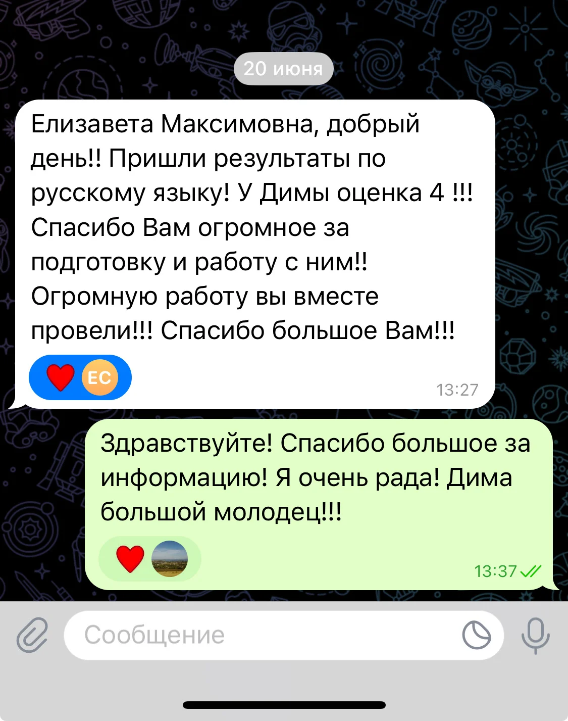 Репетитор по русскому языку - миниатюра 3