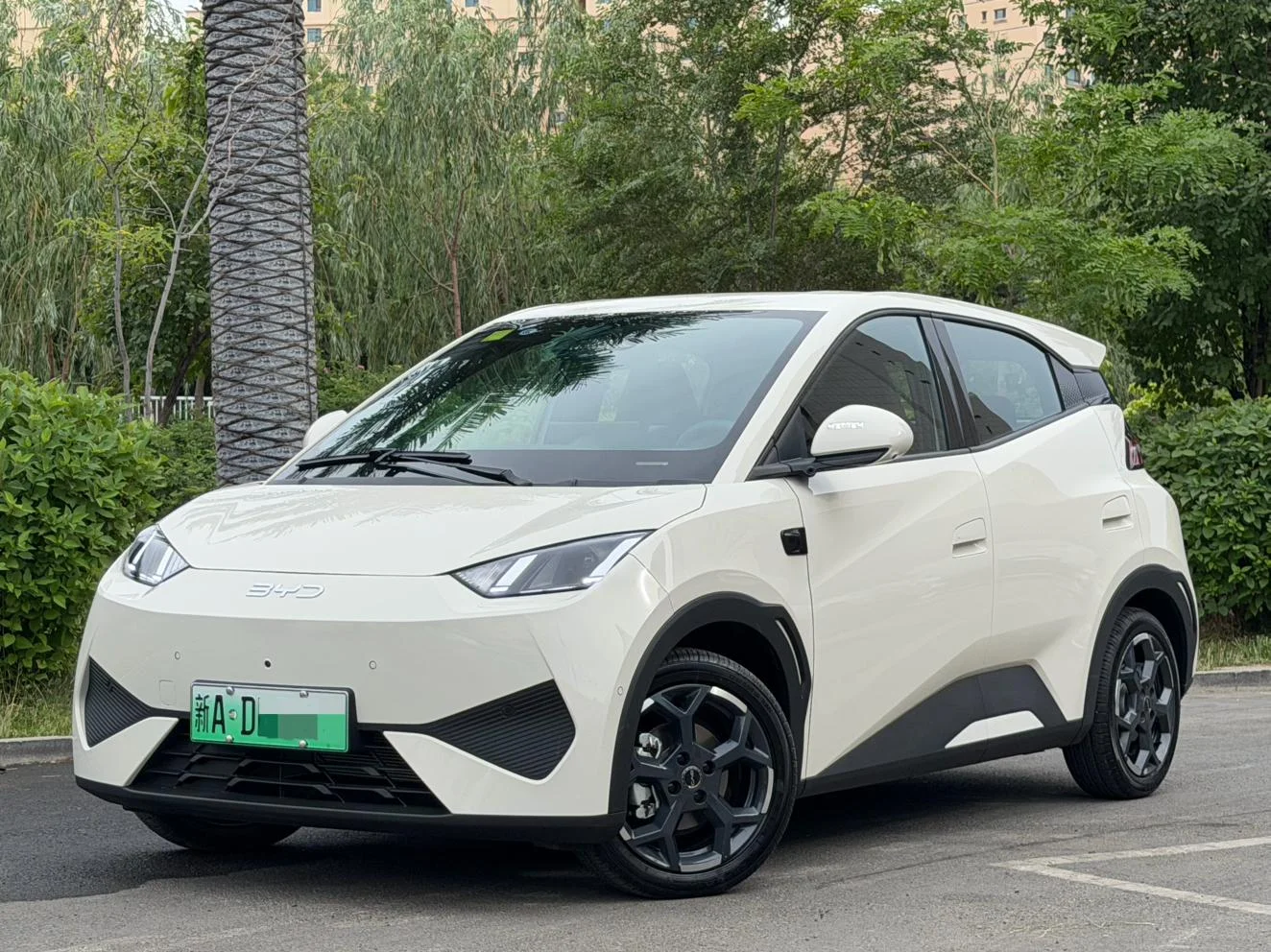 BYD Seagull 2025 - изображение 1