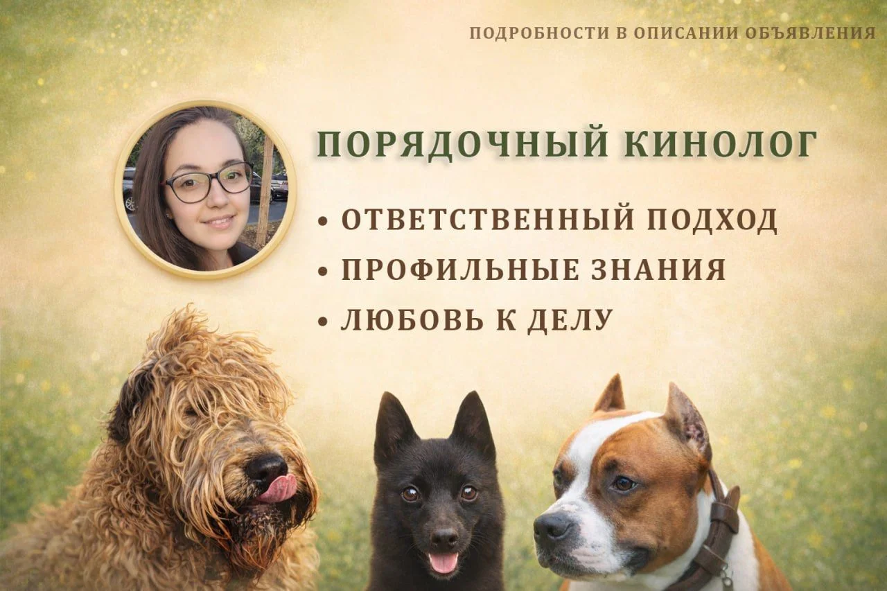 Услуги кинолога - изображение 1