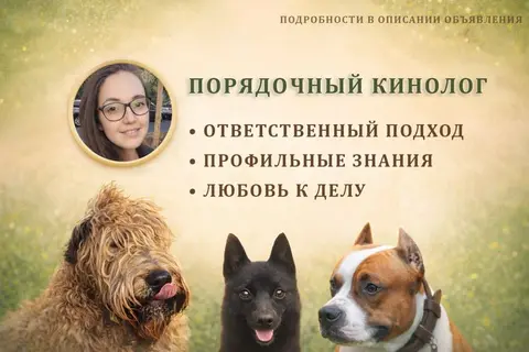 Услуги кинолога