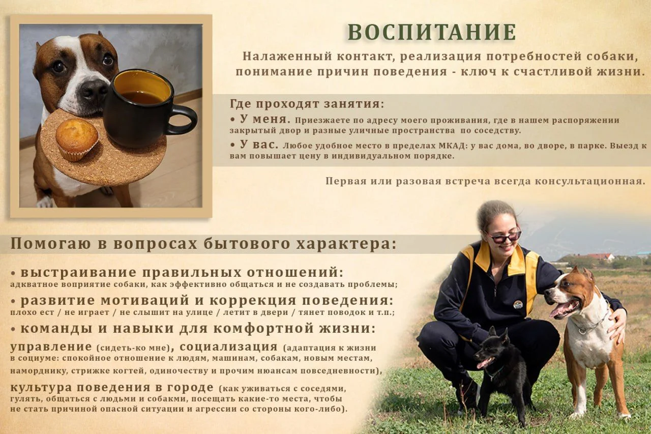 Услуги кинолога - миниатюра 2