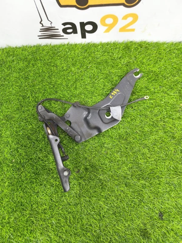 Петля капота правая BMW X5 E70 306D5 2009 - миниатюра 2