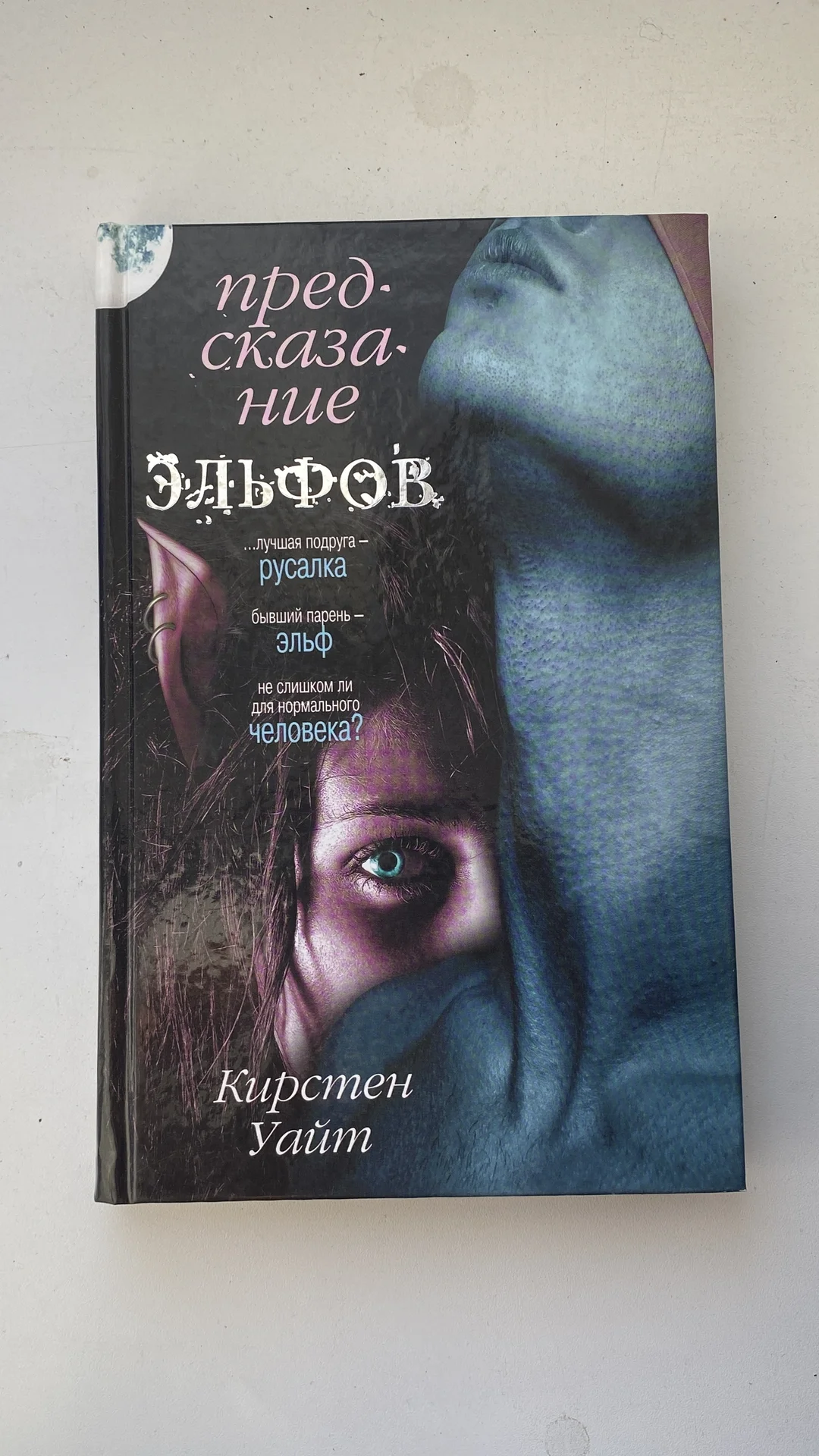 Книга «Предсказание Эльфов» фэнтези - изображение 1