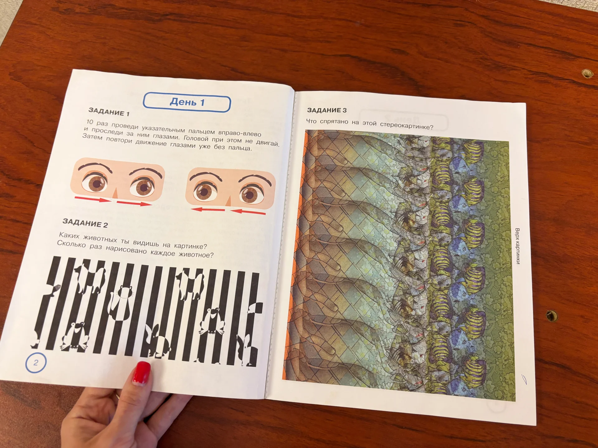 Уникальная книга для тренировки зрения - миниатюра 5