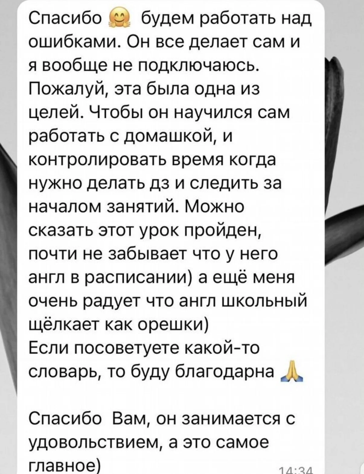 Репетитор по английскому языку - миниатюра 4