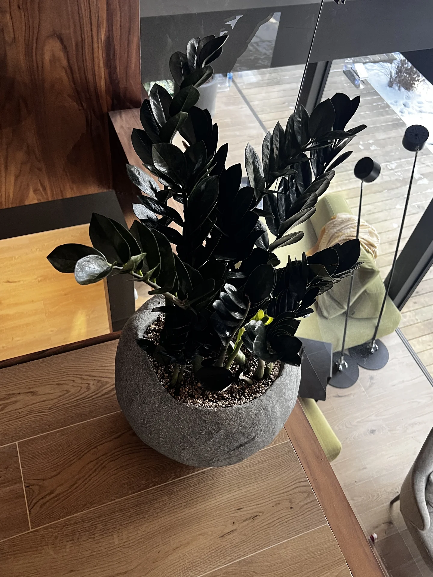 Фитодизайнер/специалист по уходу за растениями - миниатюра 4
