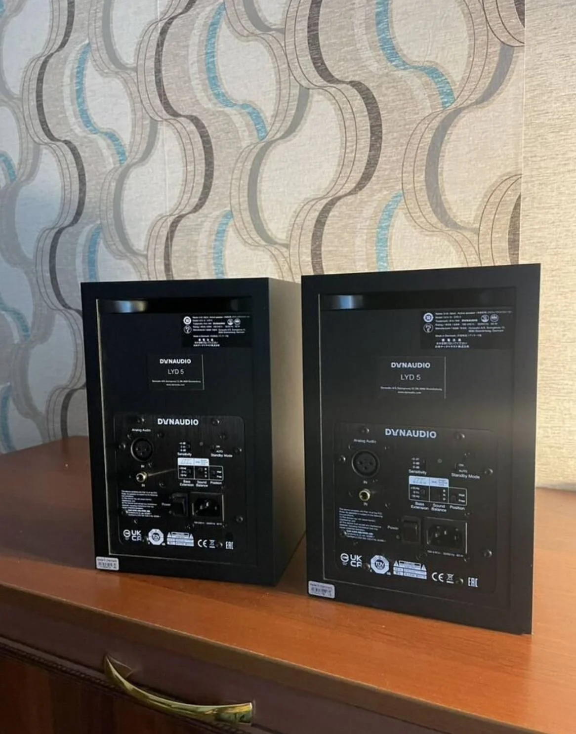 dynaudio lyd 5 - миниатюра 3