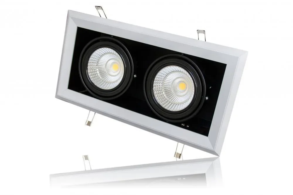 Карданный светильник B-LP111-2 (220V, 2*25W - изображение 1
