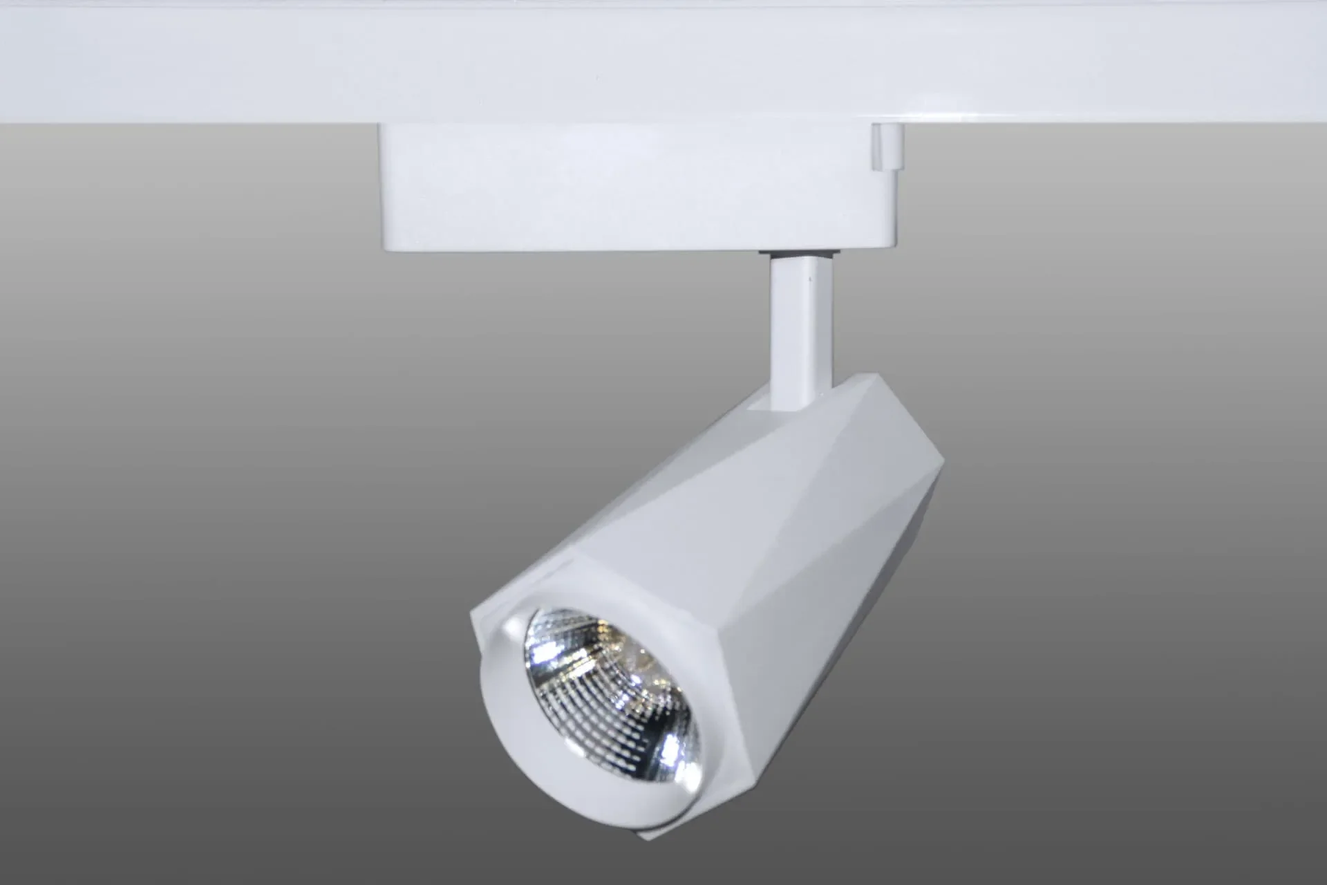 Трековый светодиодный светильник DT-173 (20W - изображение 1
