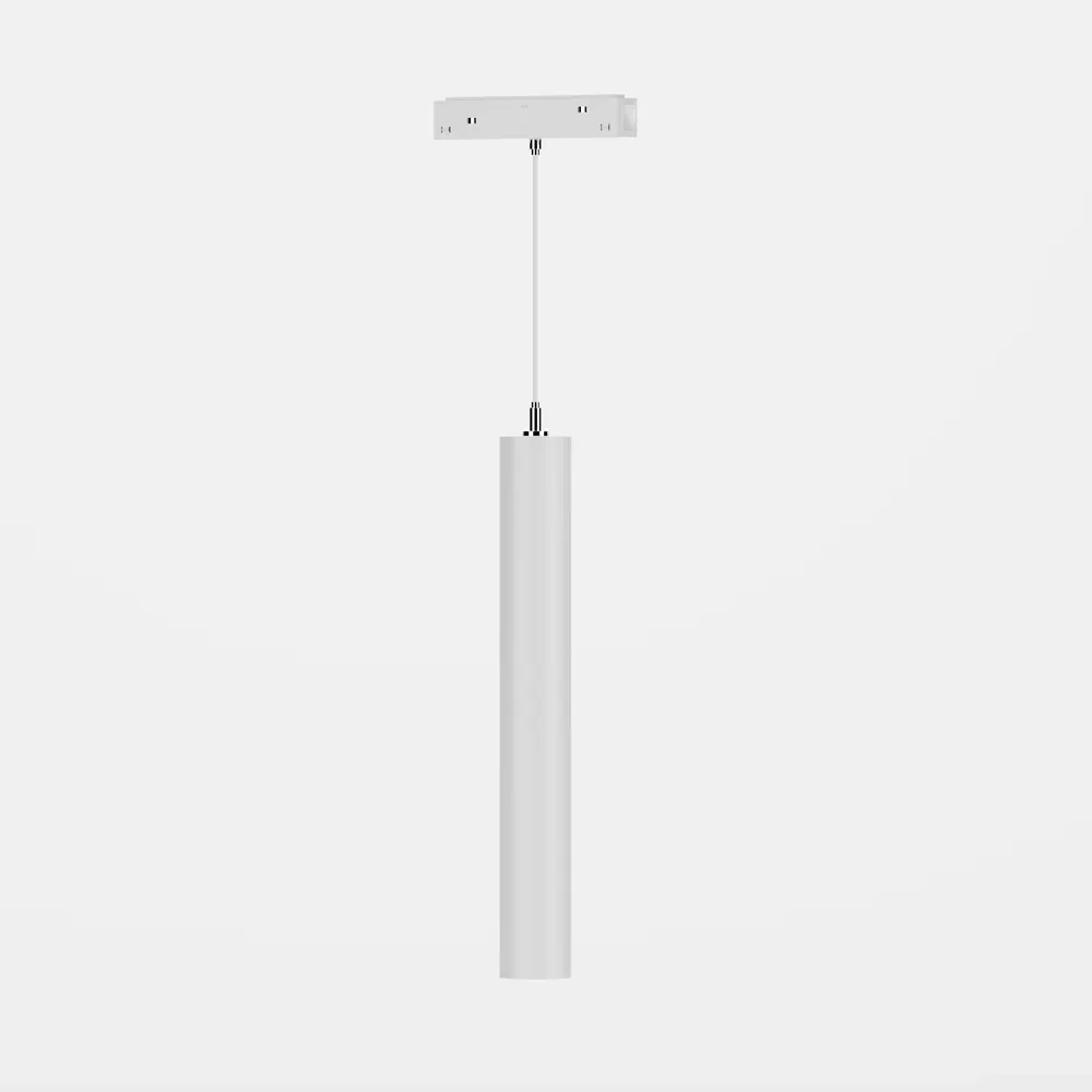 Магнитный светильник Atlas Komodo 12W 24° White - изображение 1