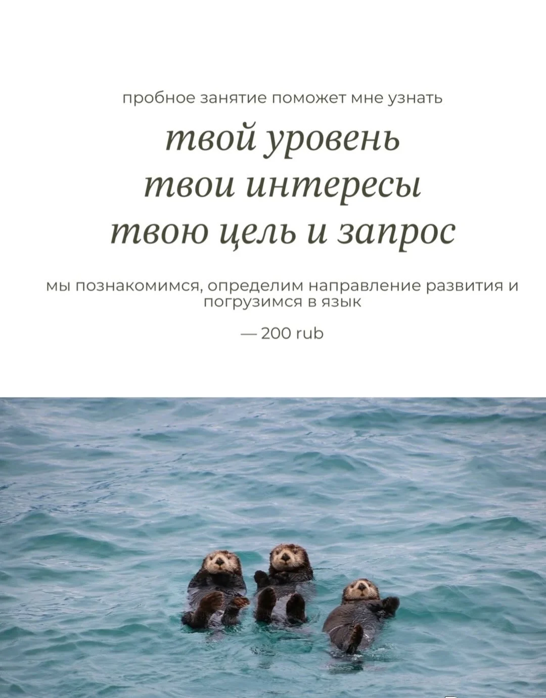 Английский язык для уровней А0-В2 - миниатюра 4