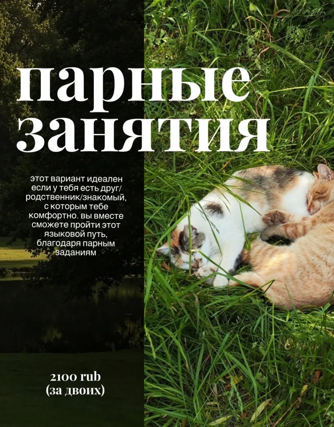 Английский язык для уровней А0-В2 - миниатюра 6