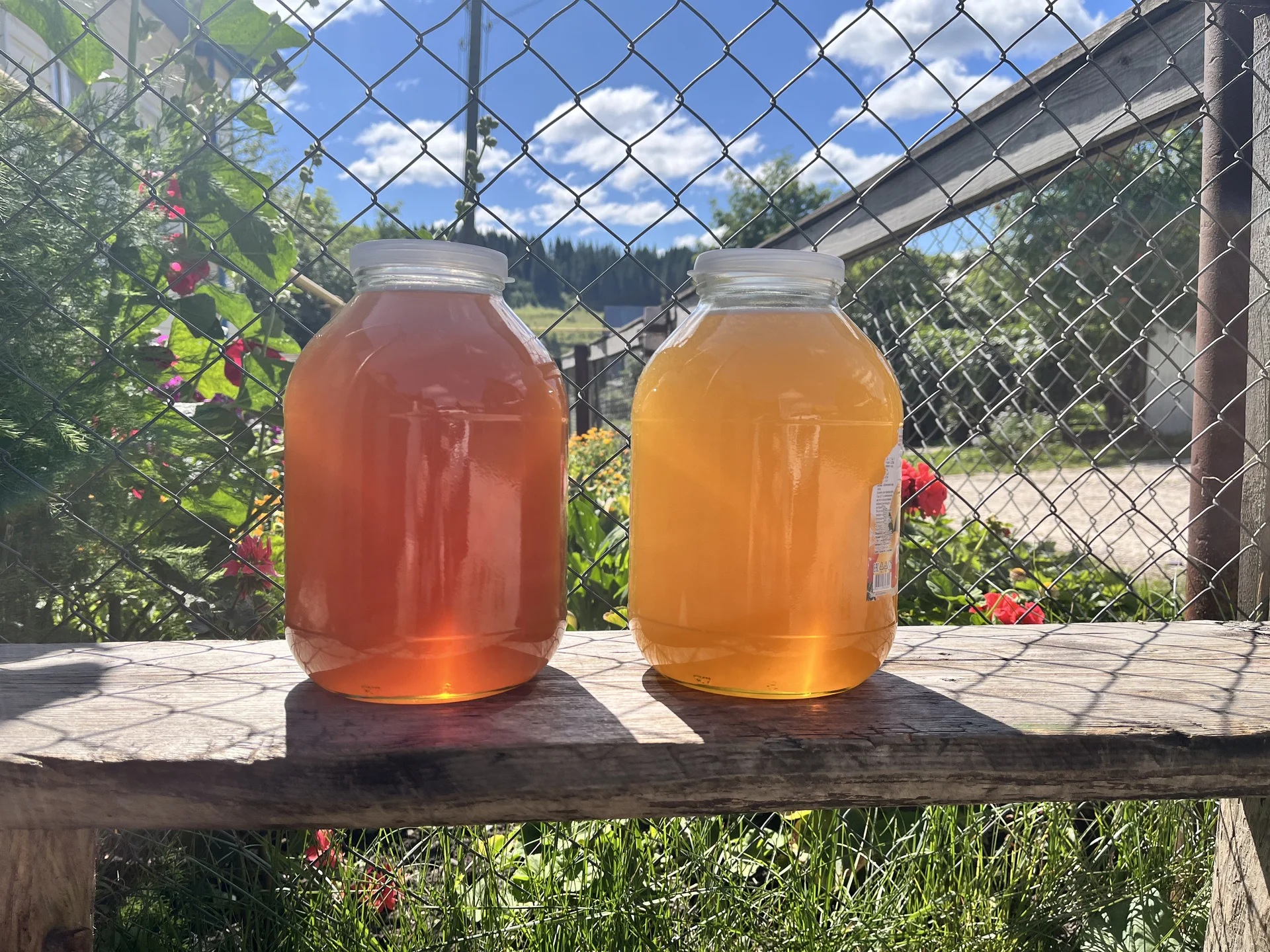 Липовый мёд - изображение 1