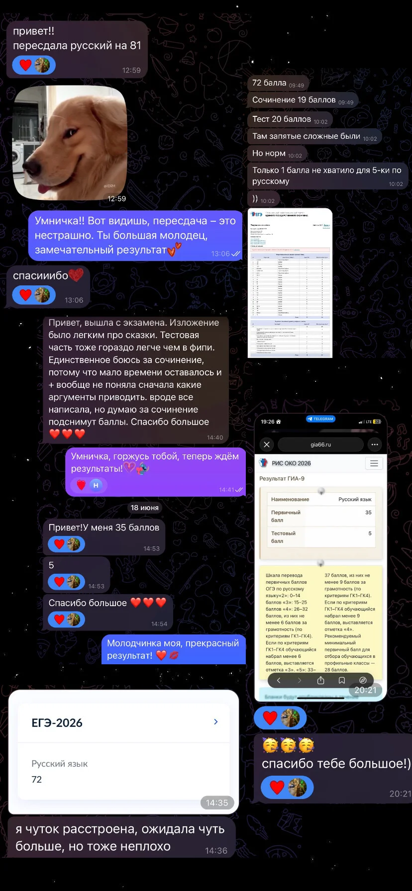 Репетитор по русскому языку - миниатюра 2