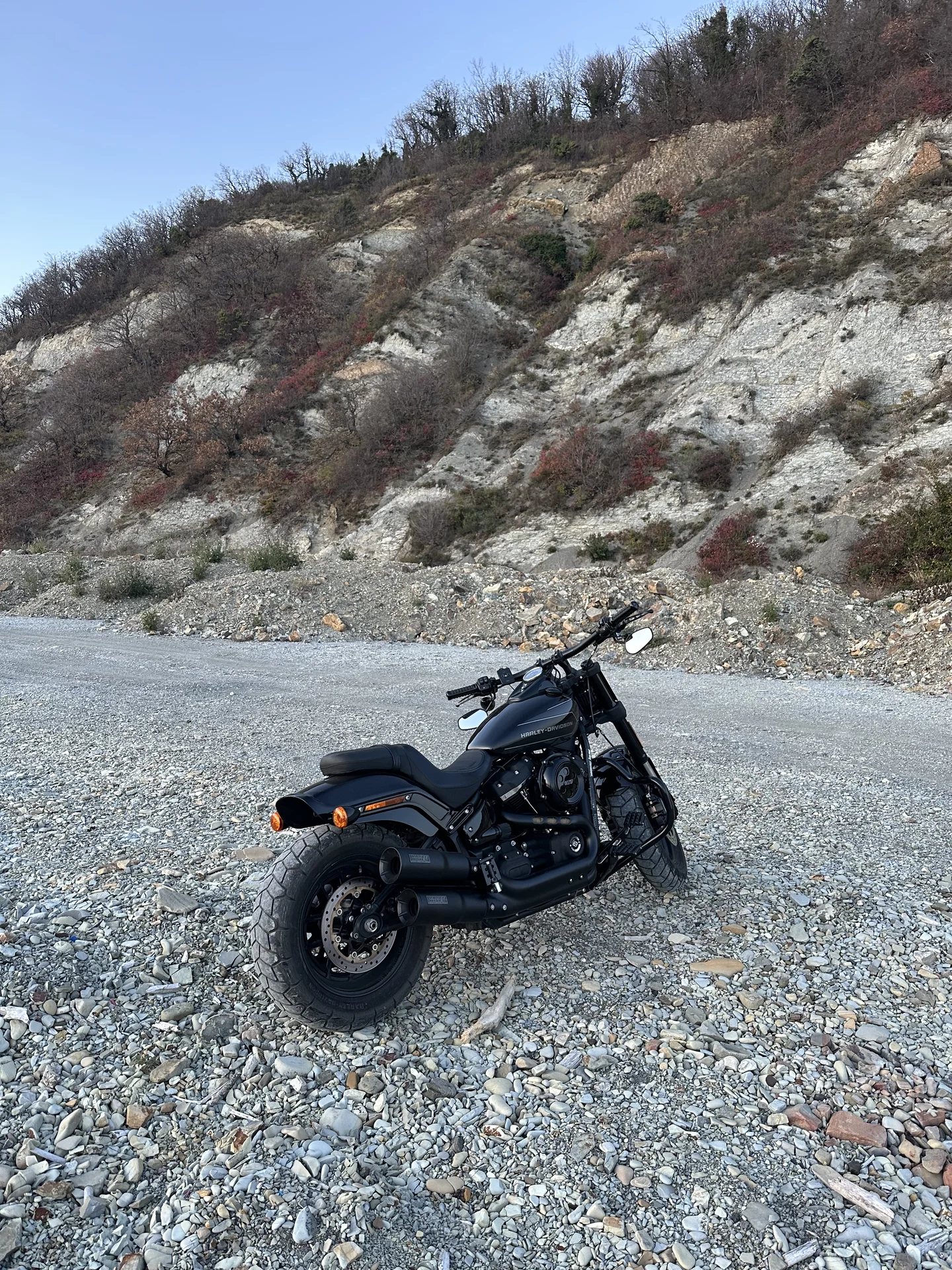 Harley-Davidson Fat Bob - миниатюра 7