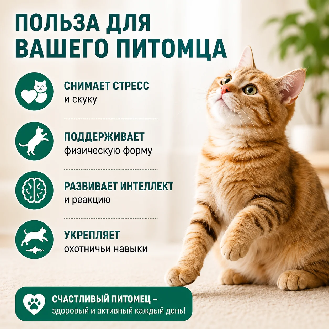 Автоматическая мягкая игрушка для кота - миниатюра 5