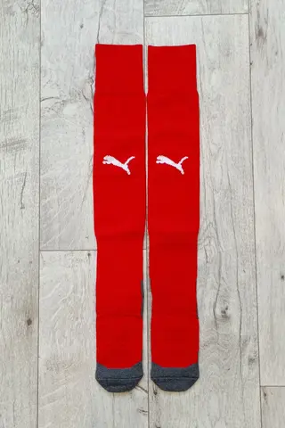 Гетры Puma
