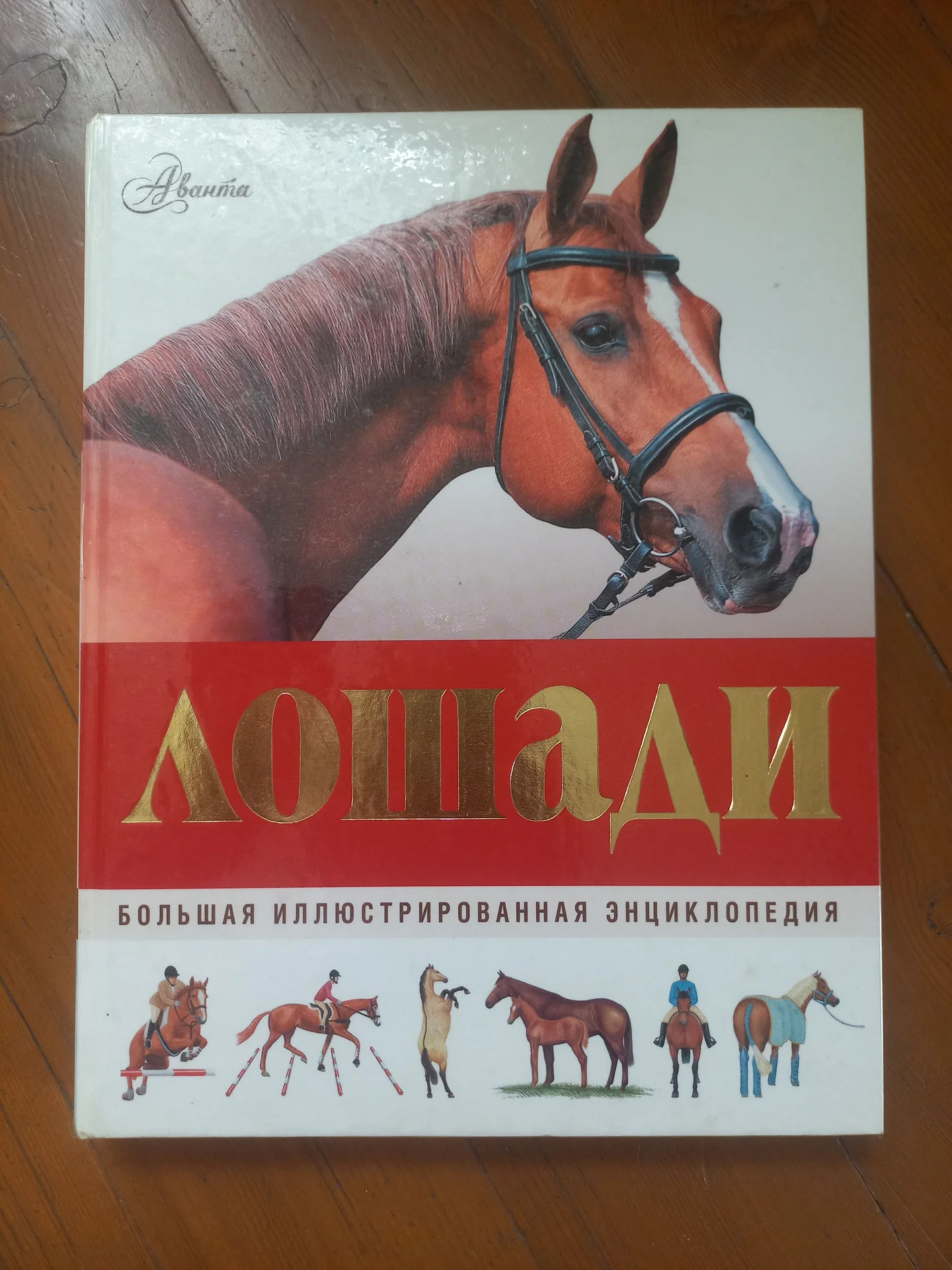 Учебник Лошади - изображение 1