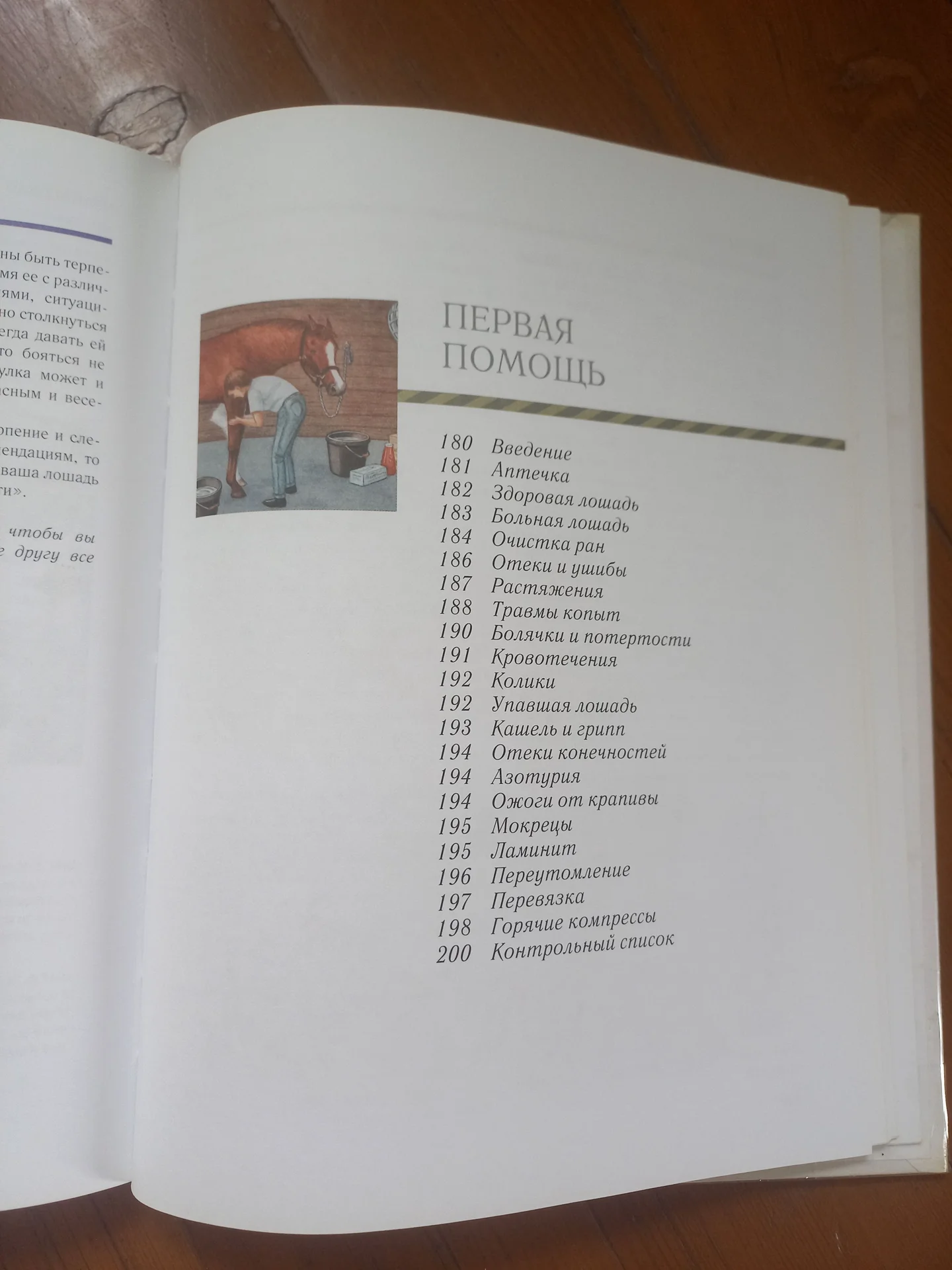 Учебник Лошади - миниатюра 6
