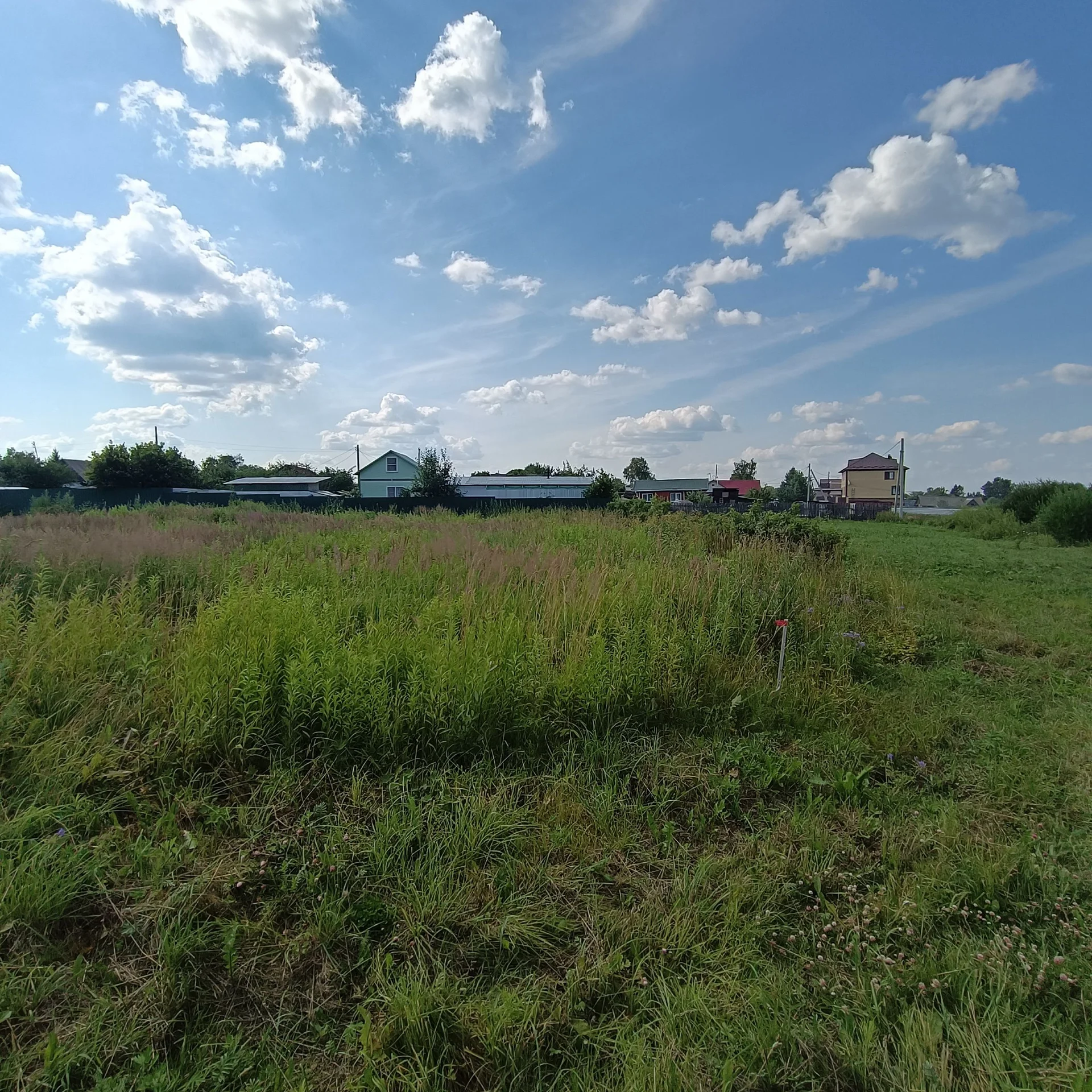 Покос травы триммером - миниатюра 2