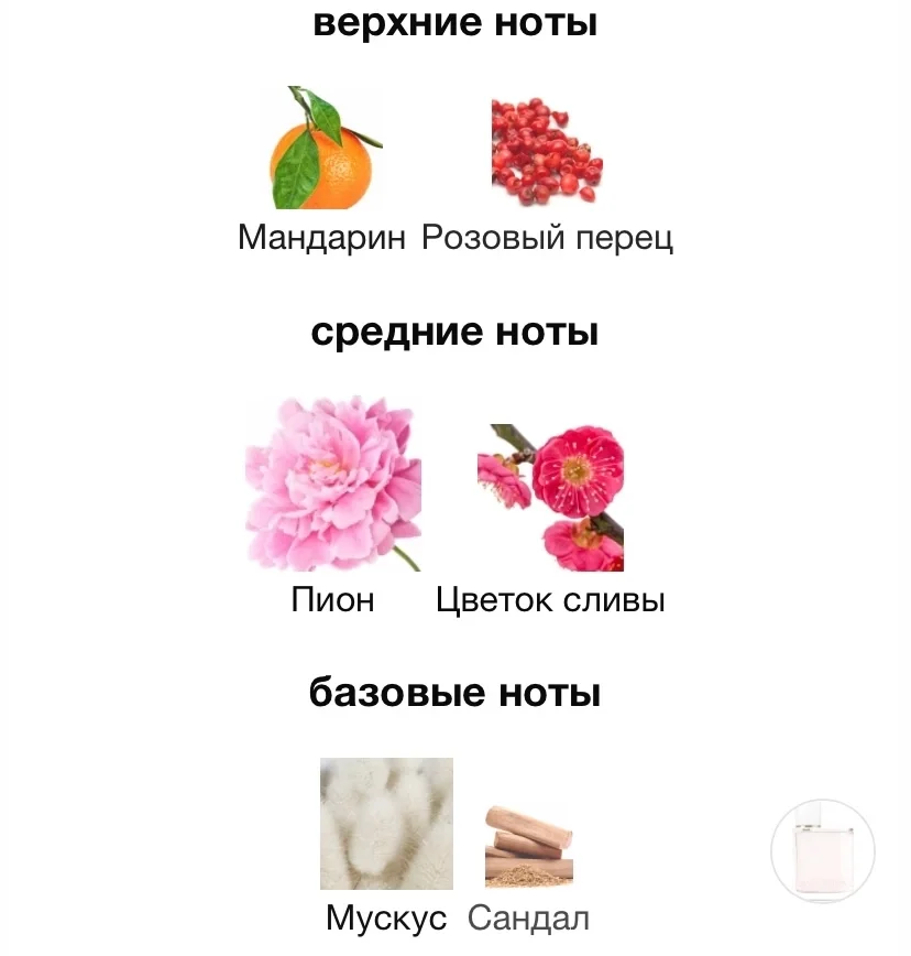 Духи BURBERRY - HER BLOSSOM - миниатюра 3