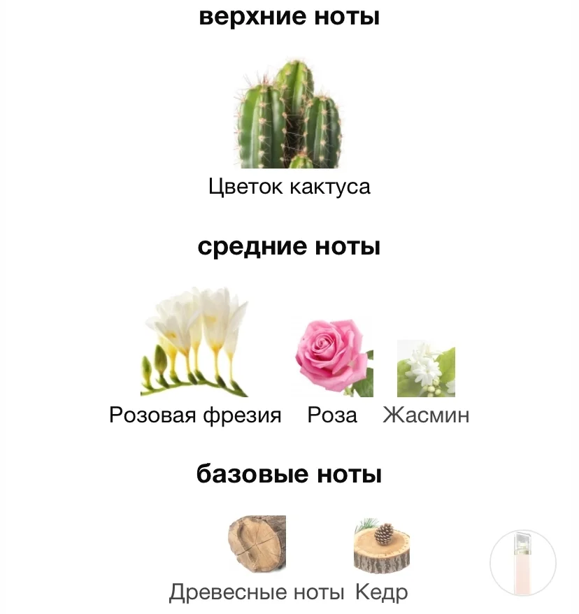 Туалетная вода HUGO BOSS - BOSS MA VIE - миниатюра 3