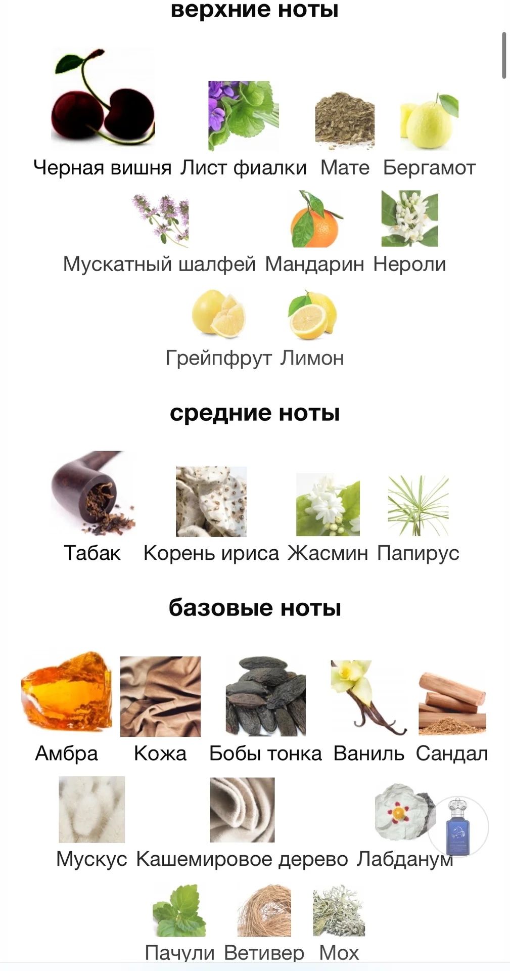 Духи CLIVE CHRISTIAN - HEDONISTIC - миниатюра 3