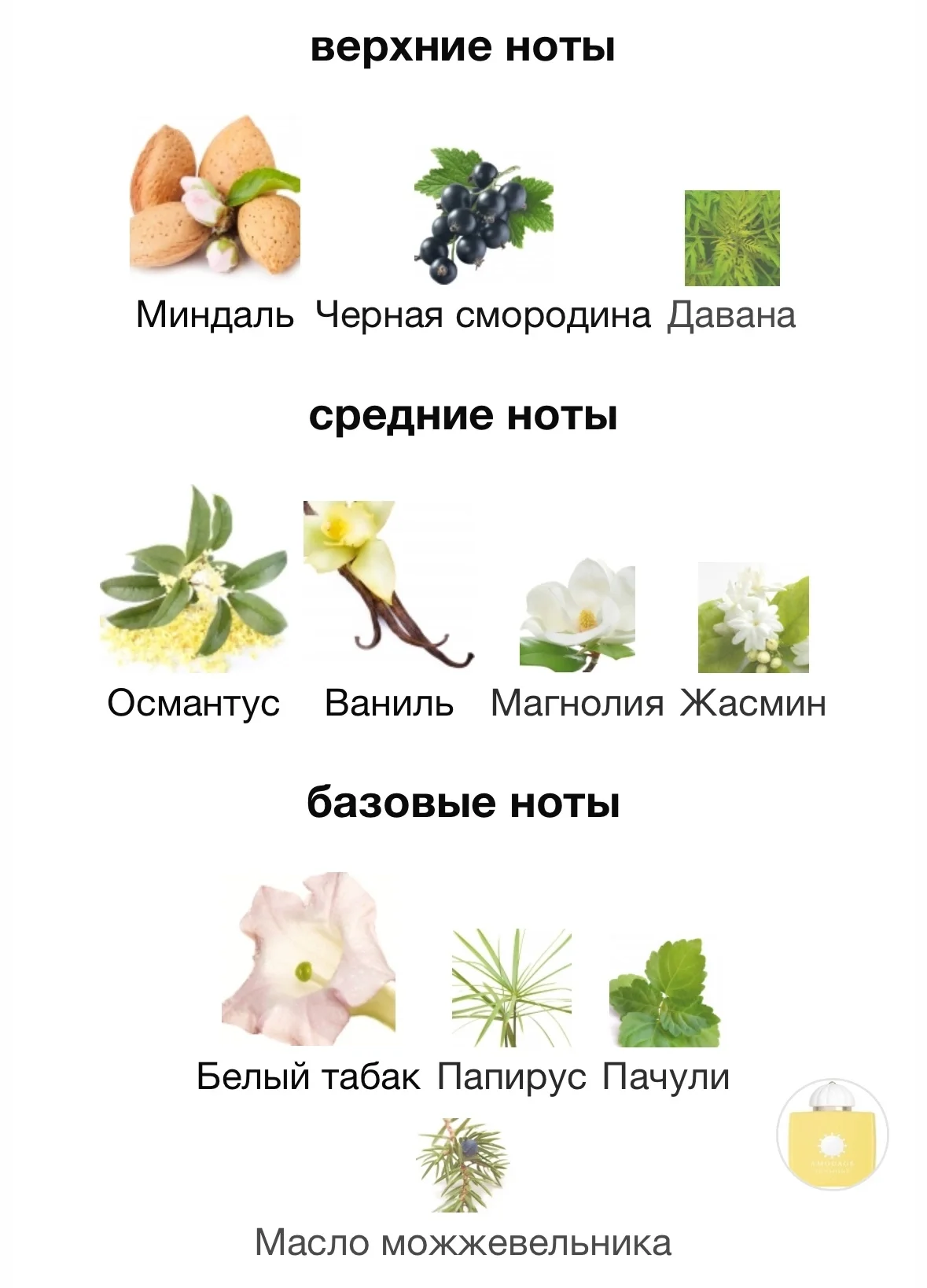 Духи AMOUAGE - SUNSHINE - миниатюра 3