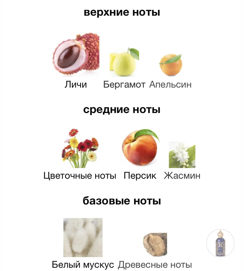 Туалетная вода ATTAR - AZORA - миниатюра 3