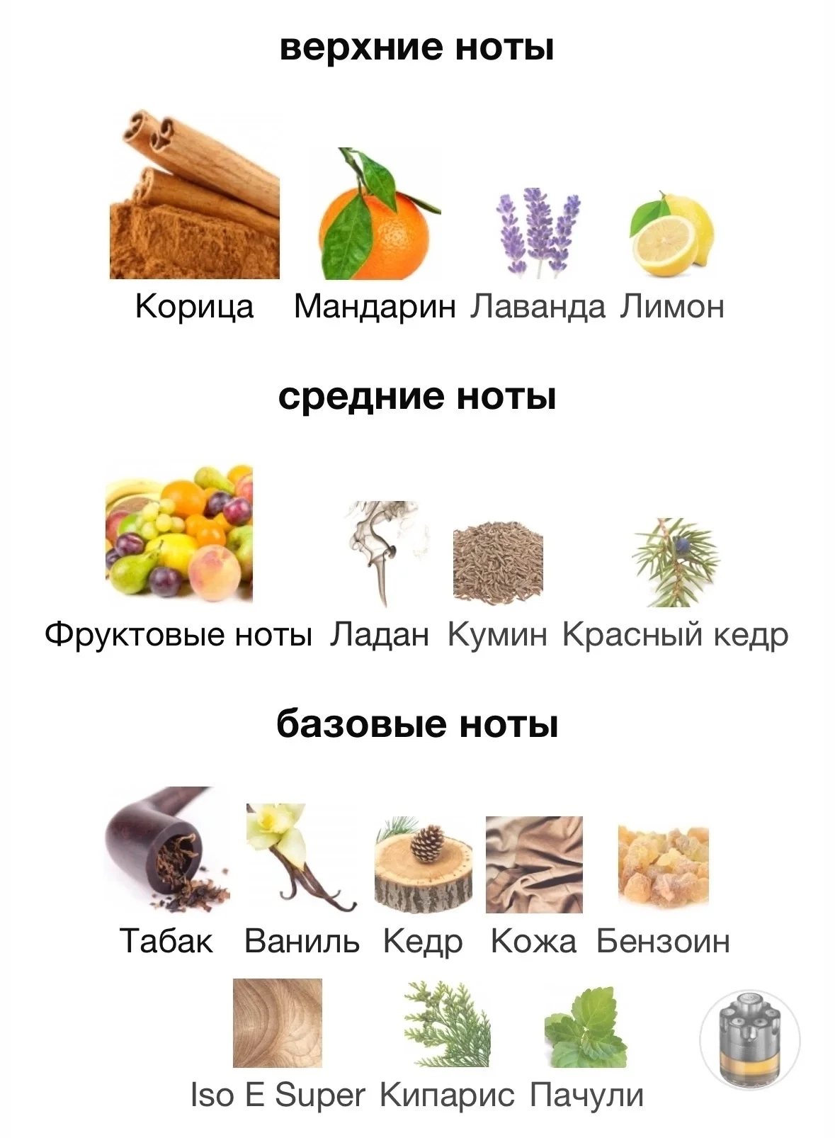 Парфюмерная вода Azzaro - миниатюра 4