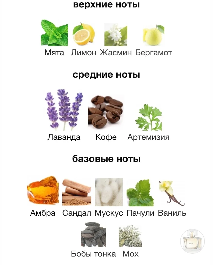Туалетная вода EISENBERG - JOSE - миниатюра 3