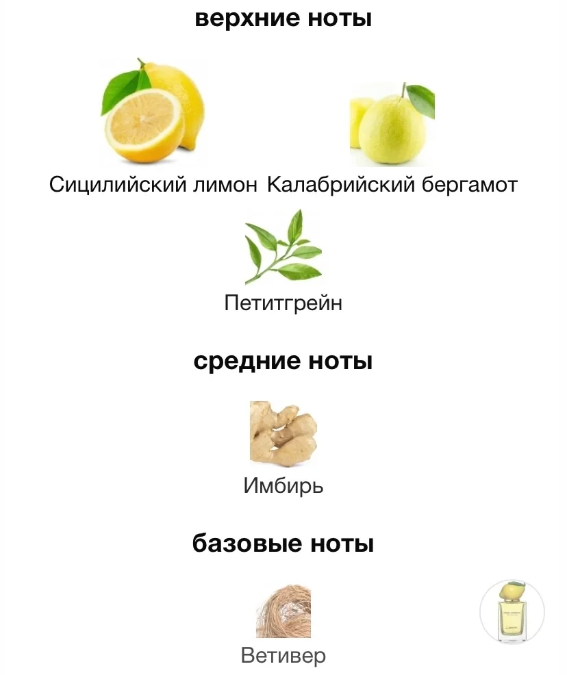 Туалетная вода DOLCE GABBANA - LEMON - миниатюра 3
