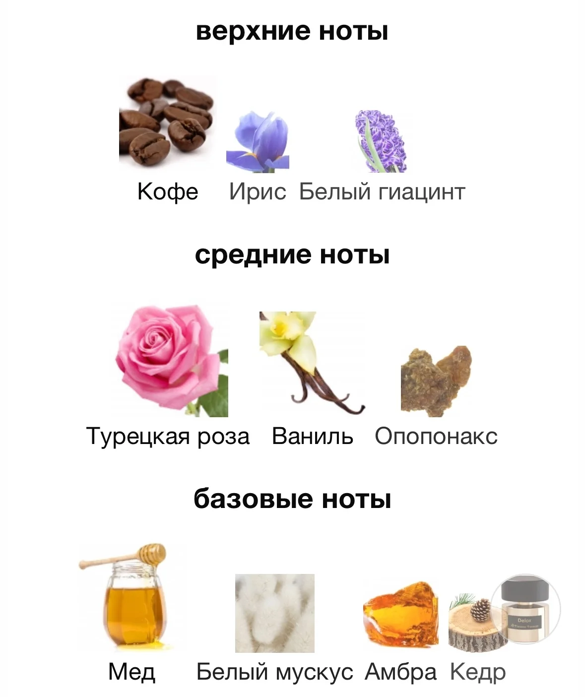 Туалетная вода TIZIANA TERENZI - DELOX - миниатюра 3