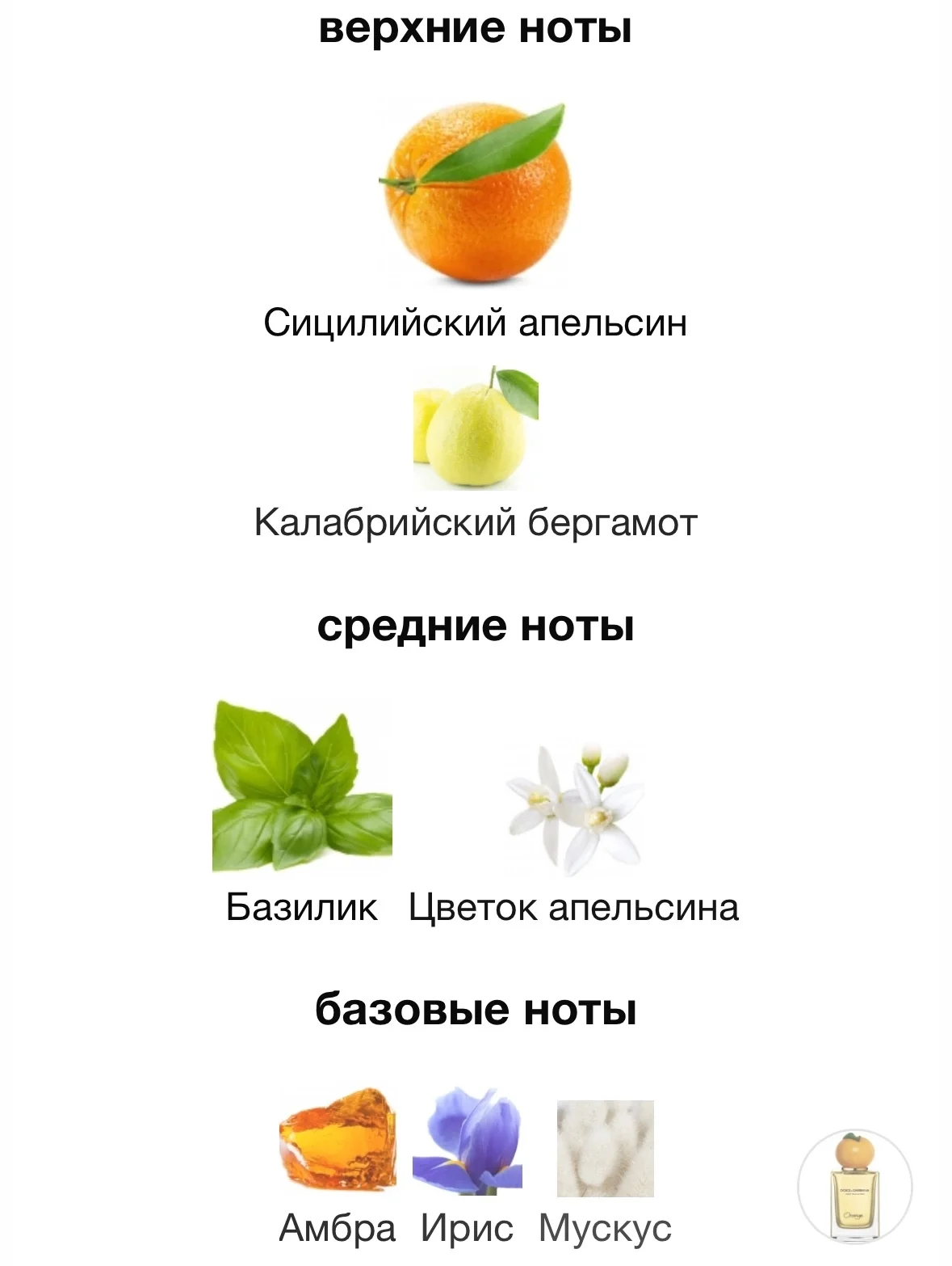 Туалетная вода DOLCE GABBANA - ORANGE - миниатюра 3