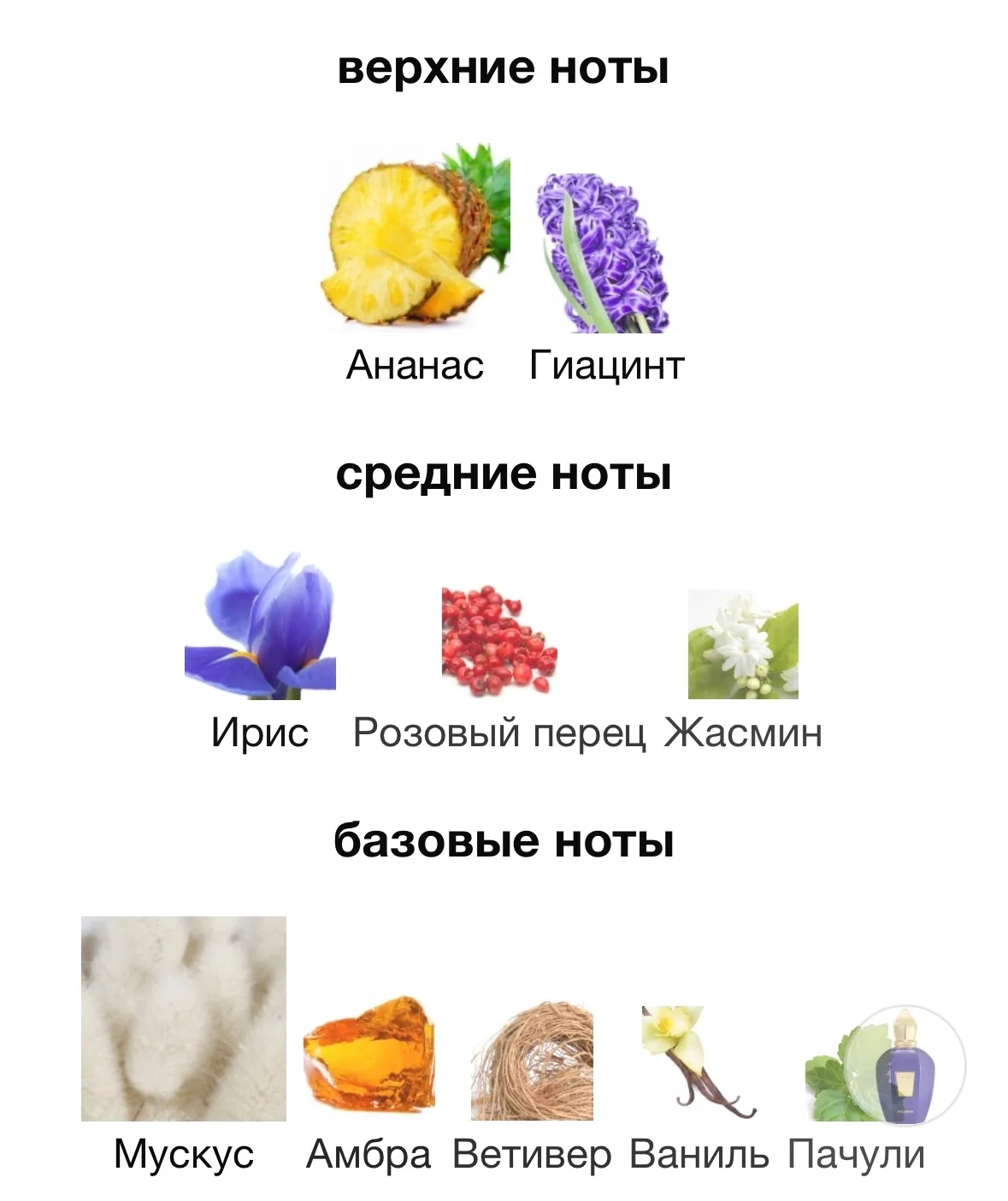Туалетная вода XERJOFF - ACCENTO - миниатюра 3
