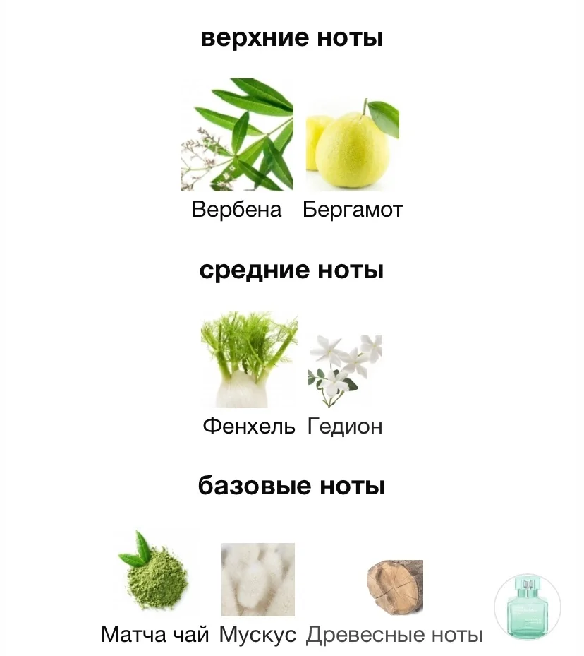 Туалетная вода MFK - AQUA MEDIA COLOGNE FORTE - миниатюра 3