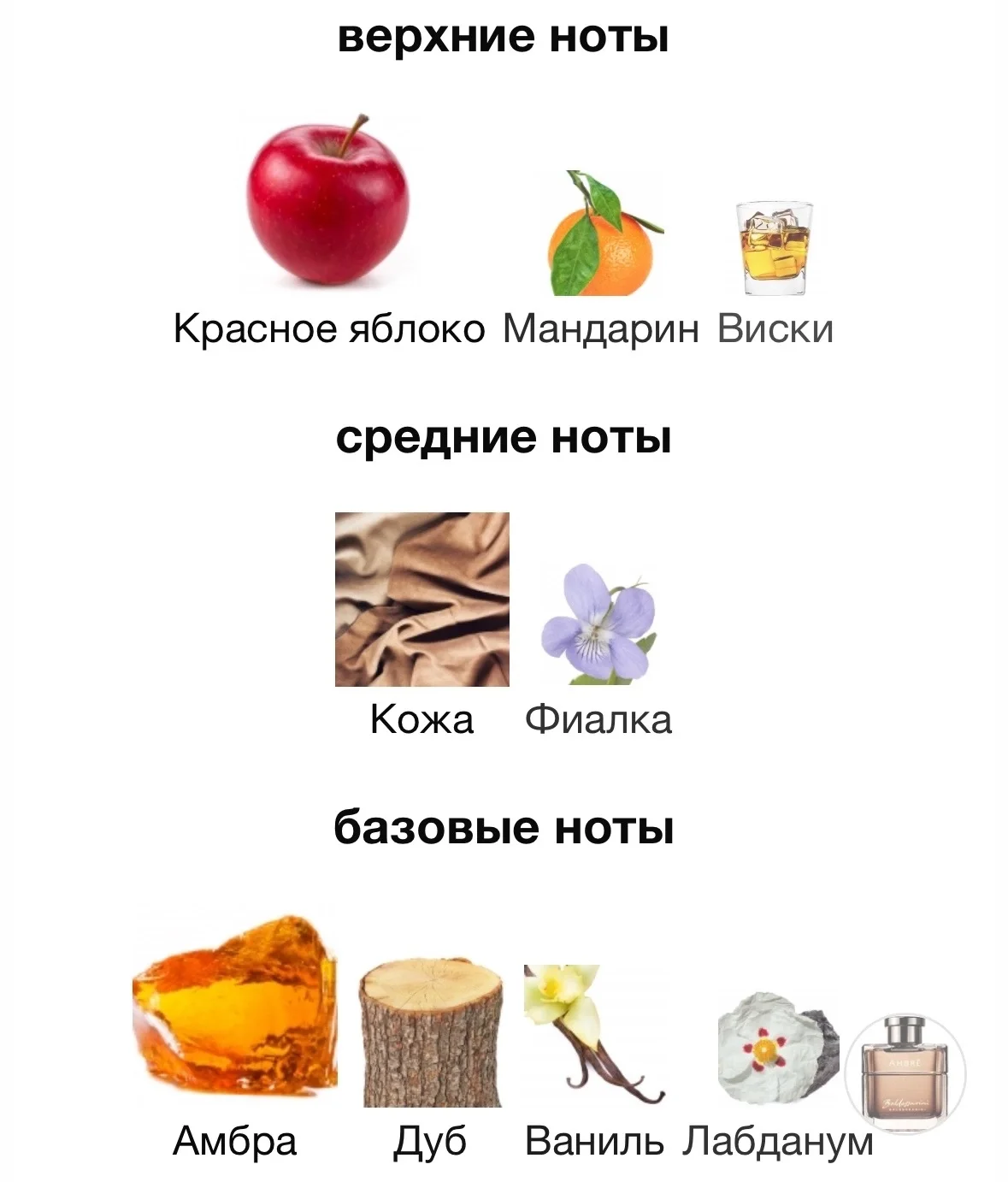 Туалетная вода BALDESSARINI - AMBRE - миниатюра 3