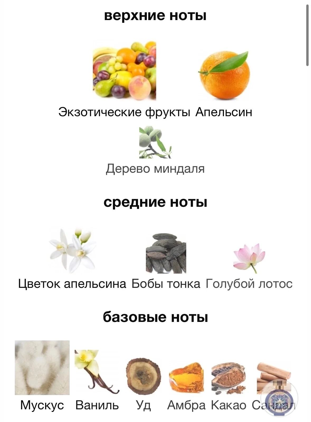 Парфюмерная вода HFC - DIVINE BLOSSOM - миниатюра 3